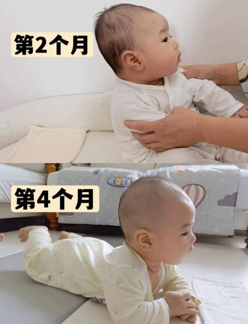 b2029ac509364fc888f3322cf15b53db.jpeg