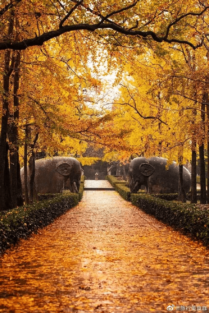 微博 秋天是一个美好的季节