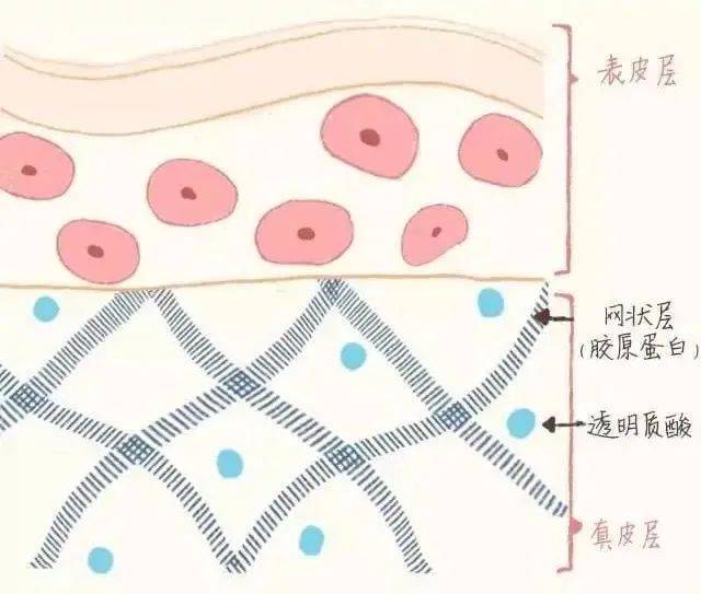 OlayOlay大红瓶变超红瓶，秋冬抗老面霜再升级