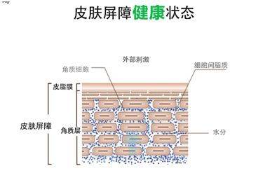 急救为什么你每天都在破坏你的肌肤屏障？敏感肌应该如何急救？