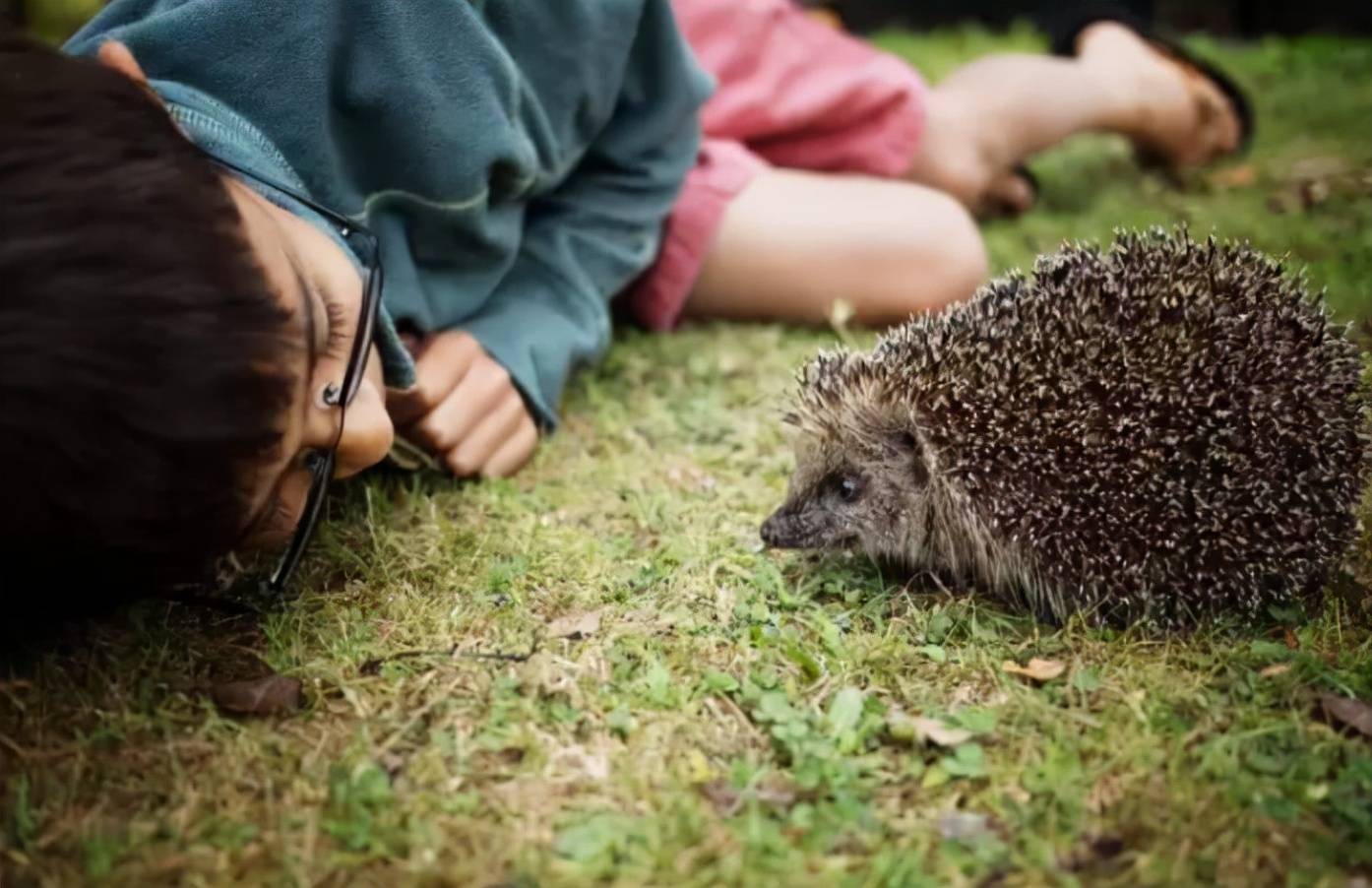 原创孩子的大自然缺失症悄悄蔓延养娃过程中勿忘与自然同行
