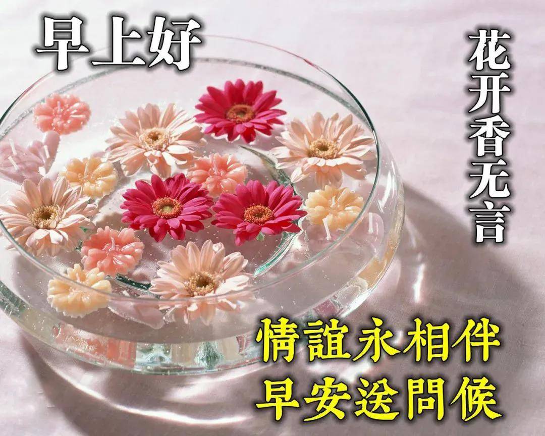 原创10月16日清早最新版早上好漂亮表情祝福图片平安祝福早上好问候