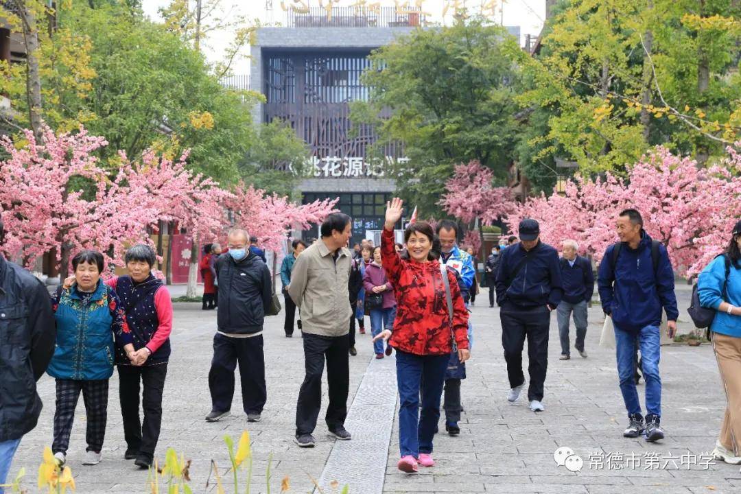 桃花源|常德市六中组织离退休教职工开展重阳节秋游活动