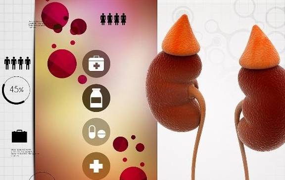 肾脏|无端有这4个感受,可能肾积水在发出“攻击”,要警惕