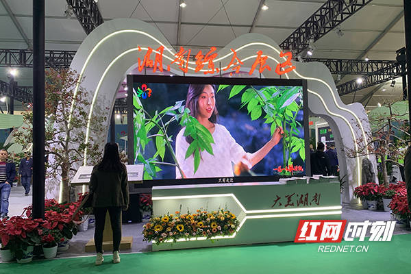 湖南省花木博览会选在这里开，有何深意？