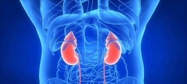 肾脏|喝水多、尿多会伤到肾脏吗？了解多喝水的好处和坏处，应适量喝水