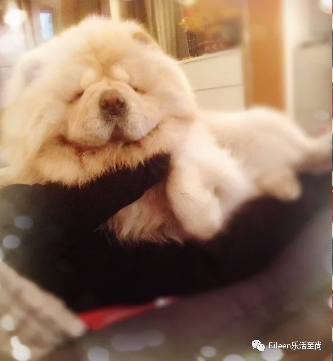 走过总翻车还爆红？蛊王凭什么让人上头？