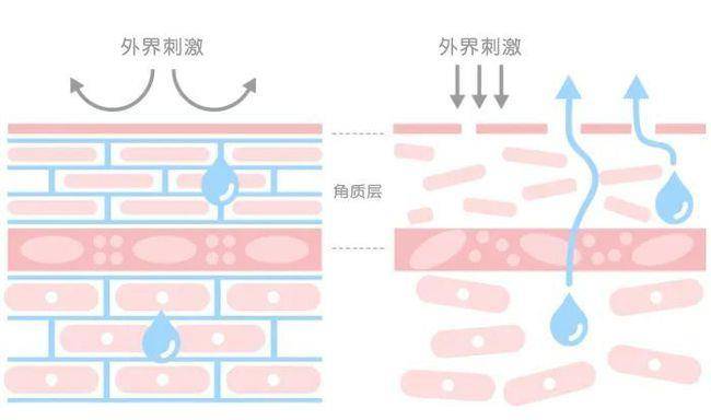 状态入秋后皮肤多干燥？学会这几个护肤要点，皮肤水润还有光泽