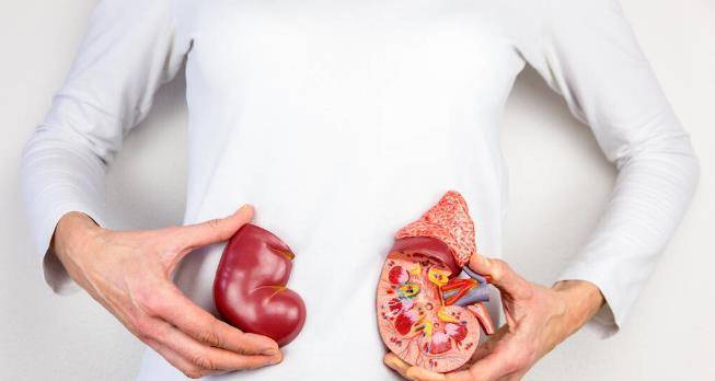 肾脏|不想加速肾衰竭恶化，只降蛋白还不够，做好3点尤为关键