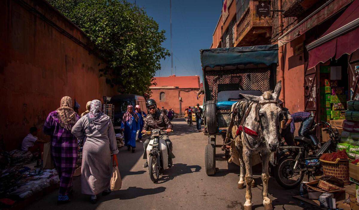 摩洛哥几乎没有黑人，是什么原因造成的？