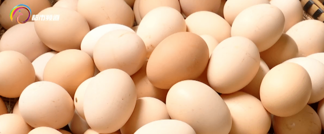 颜色|“土鸡蛋”真的比“洋鸡蛋”好吗？答案是......