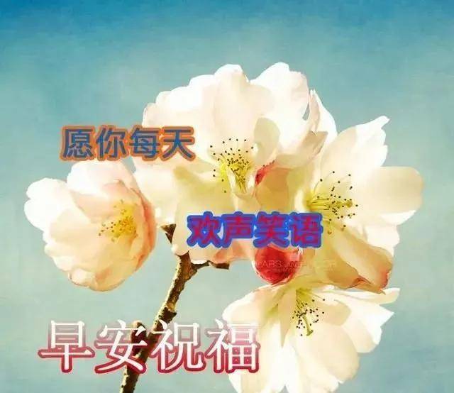2ec08fc1b5804b8e86c7d3511b5288a1.jpeg