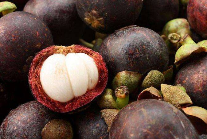 黄皮是哪里的水果 41bbc63c990e41e789404e62699bc9de.jpeg