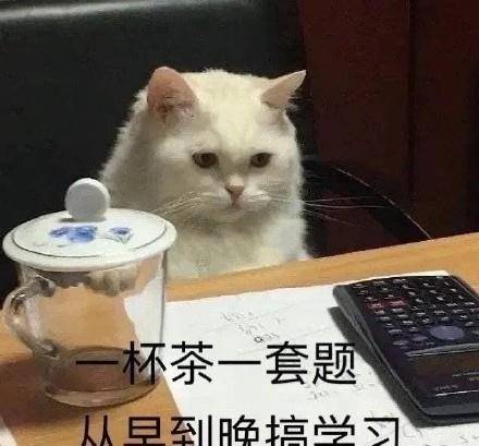 608bc94ef26e40a78432f7d5e3d28b41.jpeg
