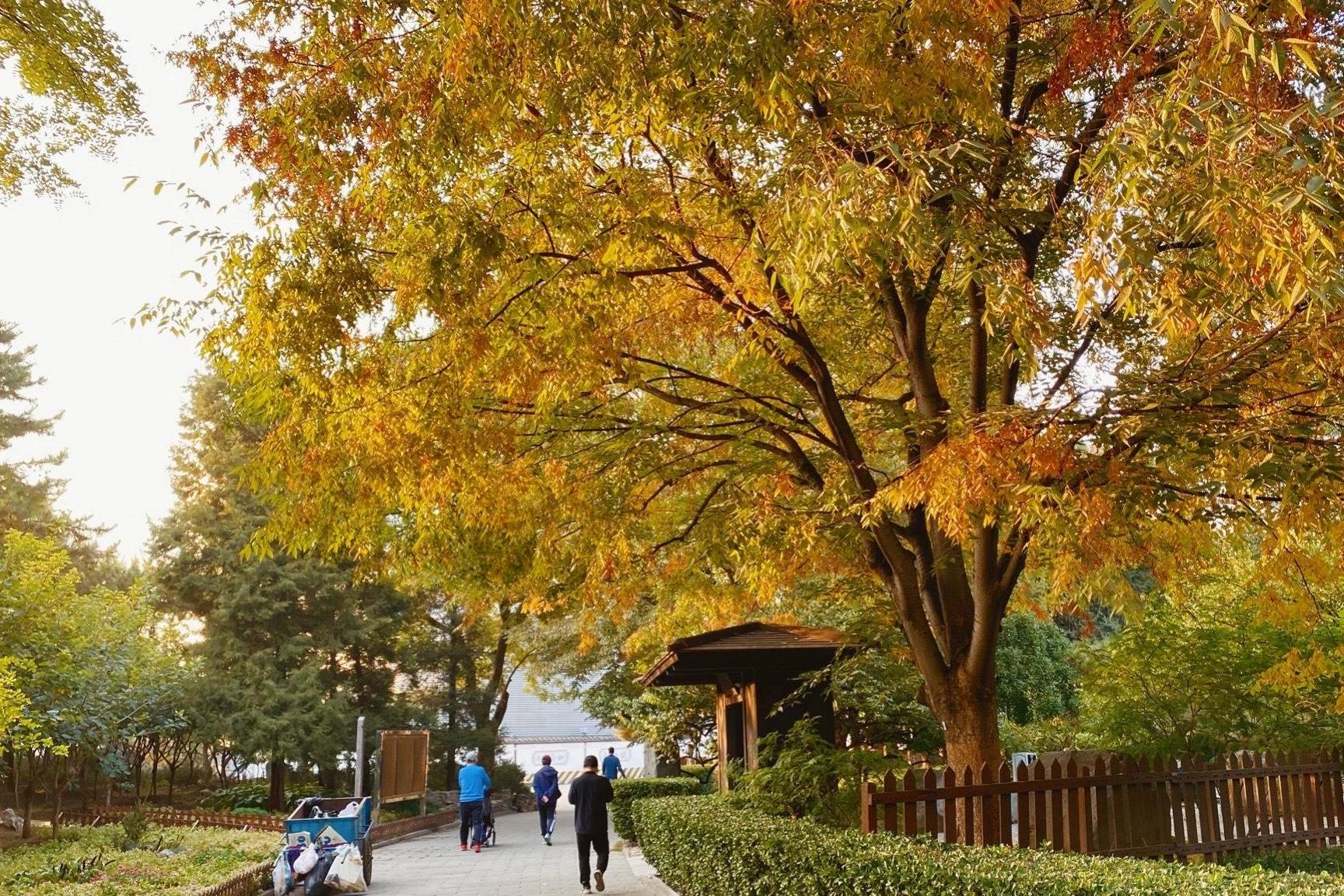北京“最多此一举”的公园，门票价格每人2毛钱，游客：不如不收