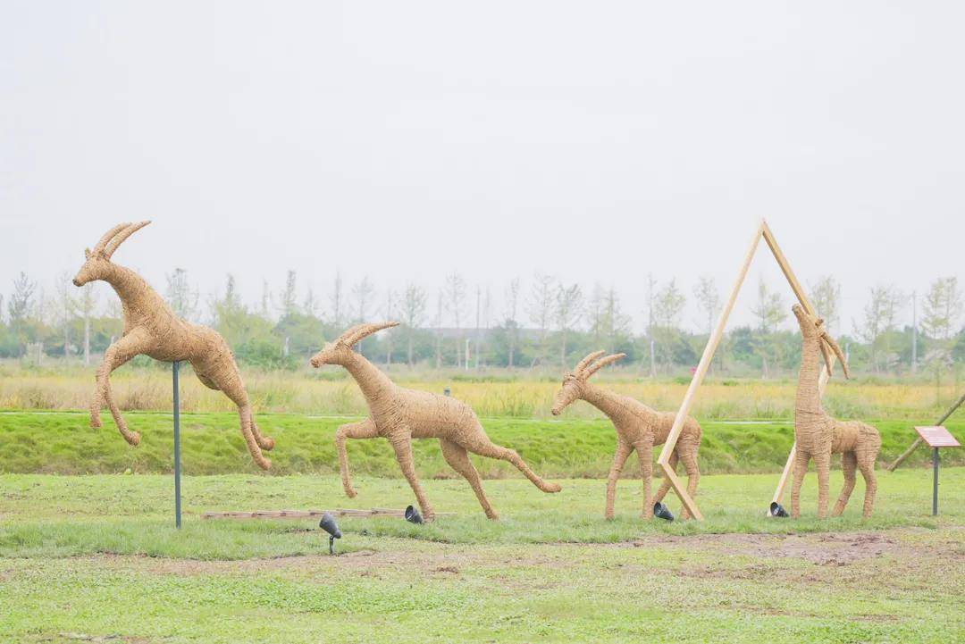 作品展|用艺术点亮乡村，用价值激活乡村！“乡村·共生”美村艺术季第一季惊喜开幕～