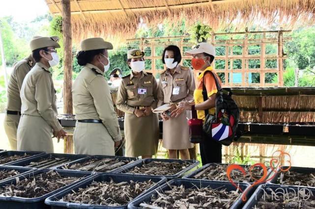 设计 泰国42岁长公主浪费好身材！紧身裤挡不住翘臀，继承颂妃的高颜值