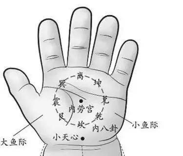找准手掌上八个点,百病皆可调(手掌八卦点穴法)
