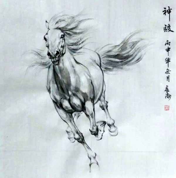 刘长海画马图片