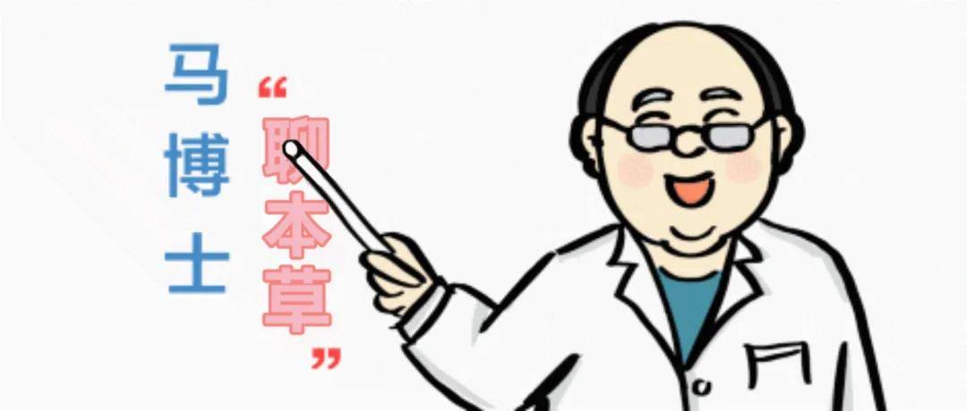 三七|【马博士聊本草】女科要药（四）：三七的故事——选对比选贵更重要