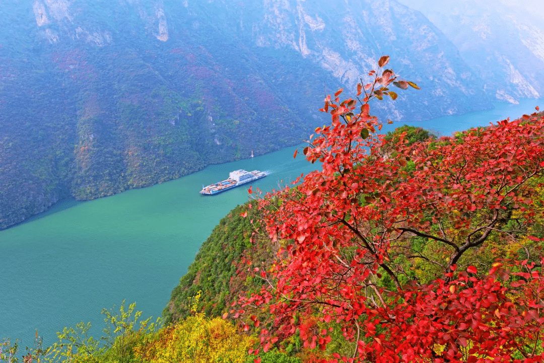 11月 多地瀰漫著一股蕭索之氣 賞秋地圖卻迎來了三峽紅葉篇 巫山 中國熱點