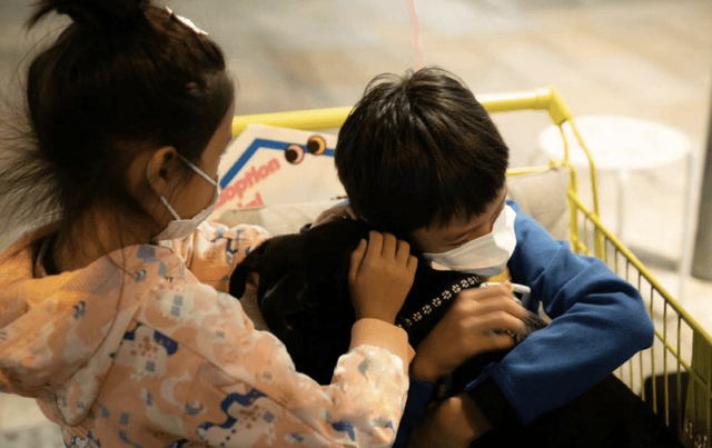 救助孙俪带儿女路边摆摊义卖，救助流浪动物获点赞，但商品定价惹争议