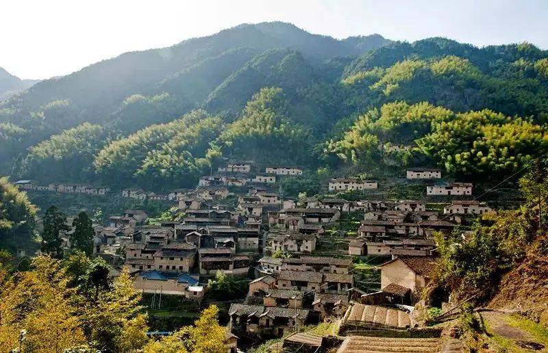 松阳县叶村乡活化古村落资源展现民宿经济新面貌