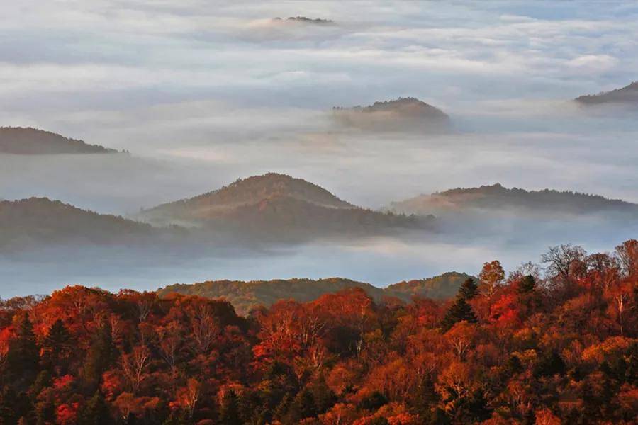 王阳明十大名言 句句开悟人性 苏东坡