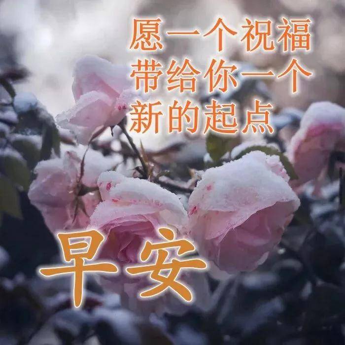 原創非常漂亮早上好圖片祝福語全集2021新出的微信早晨表情問候句子