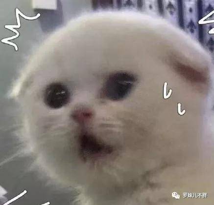 糖油好不好
