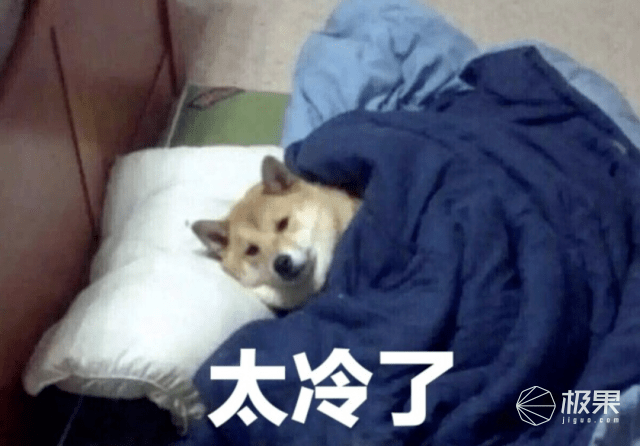 王带|冬日室内“烫脸”指南，一键开启整屋入春，黑白暖王带你快乐猫冬