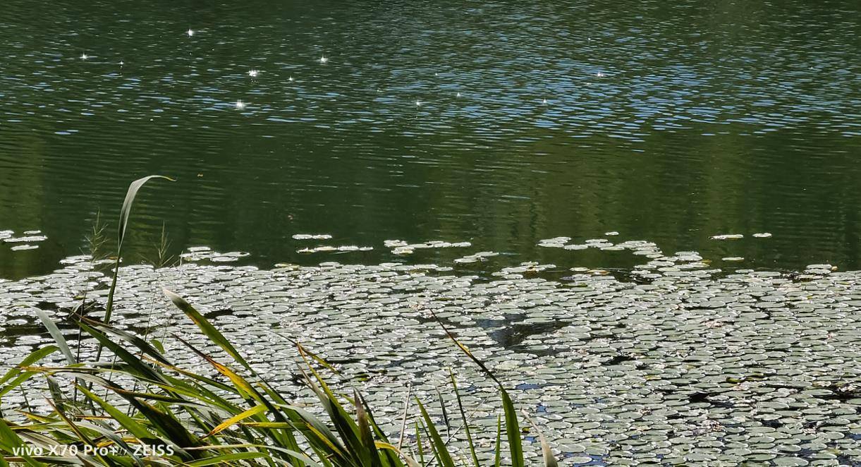 vivo X70 pro +测评：从消费者的实际使用需求去寻求技术突破口