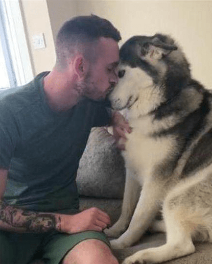 大腿二哈向主人撒娇求抱抱，没曾想主人直接给了大福利