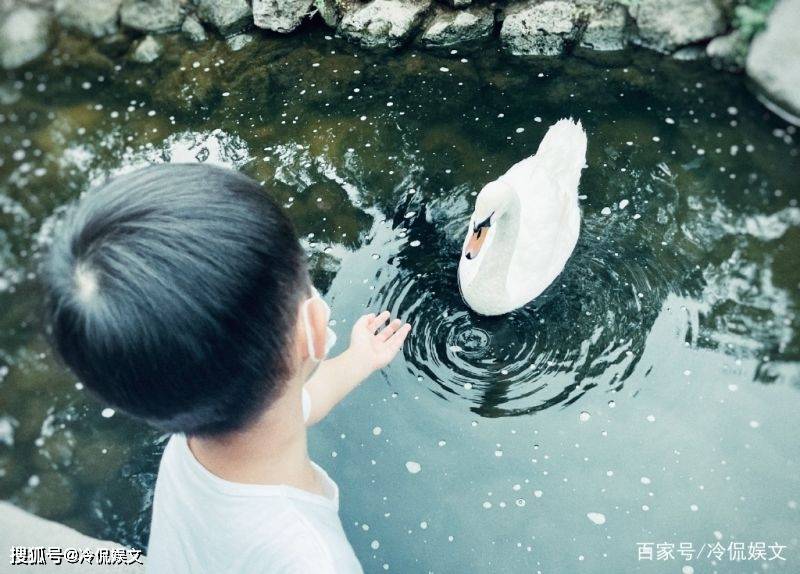 因为|44岁靳东老婆曝光,是大家很熟悉的一位演员,她是谁呢?