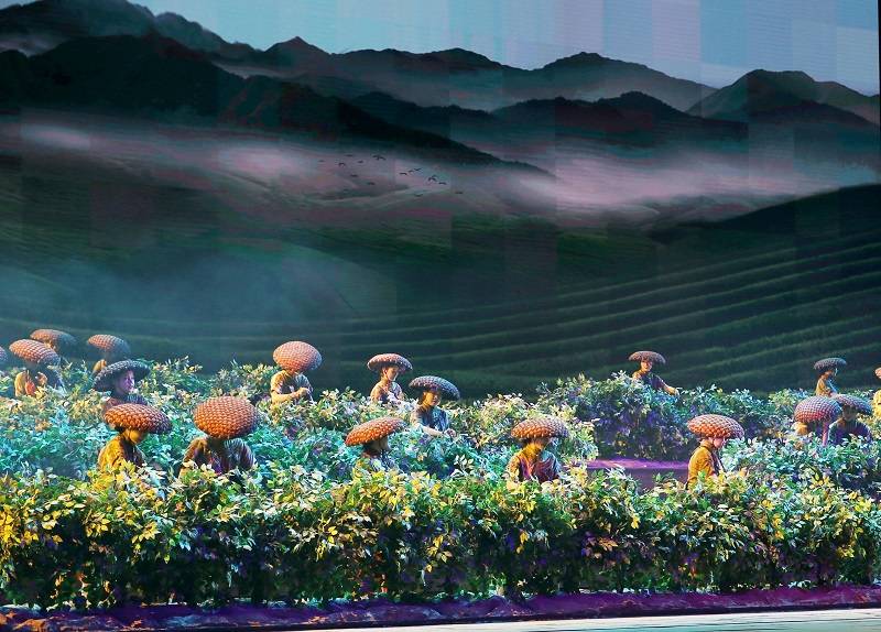 主会场|《天下茶道》点映献礼第五届湖南·安化黑茶文化节