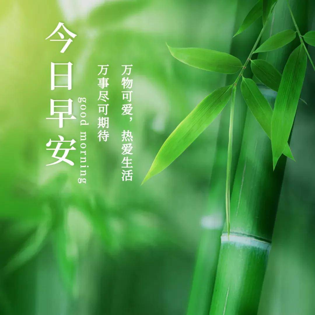 原創超級漂亮好看的早上好問候圖片元氣滿滿早安心語正能量