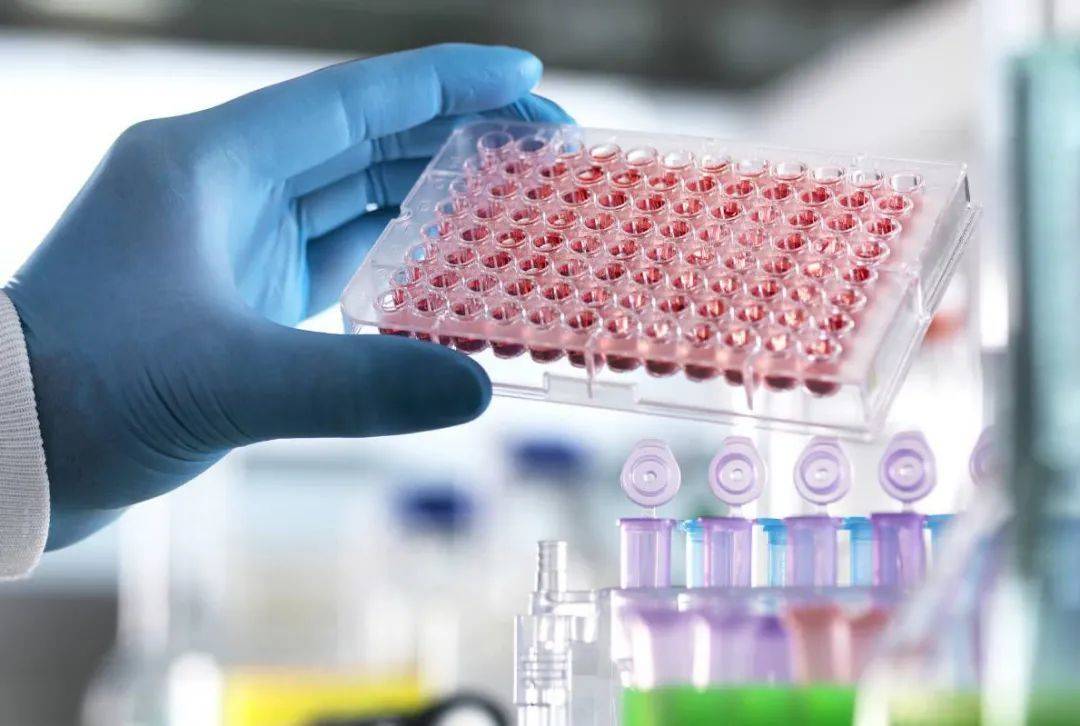 颠覆医学界干细胞是最前途无量的资产