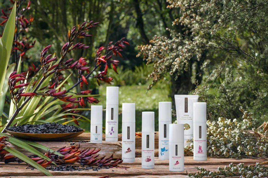 Beauty宝洁陈嘉俊：通过Snowberry重新定义中国的Clean Beauty