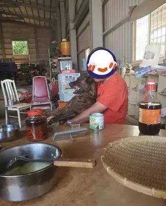 6ba8f719feec406e8a87864c55fd1e66.jpeg