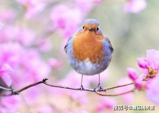 大年三十和立春在19年相遇 下一次又是哪一年呢 农历