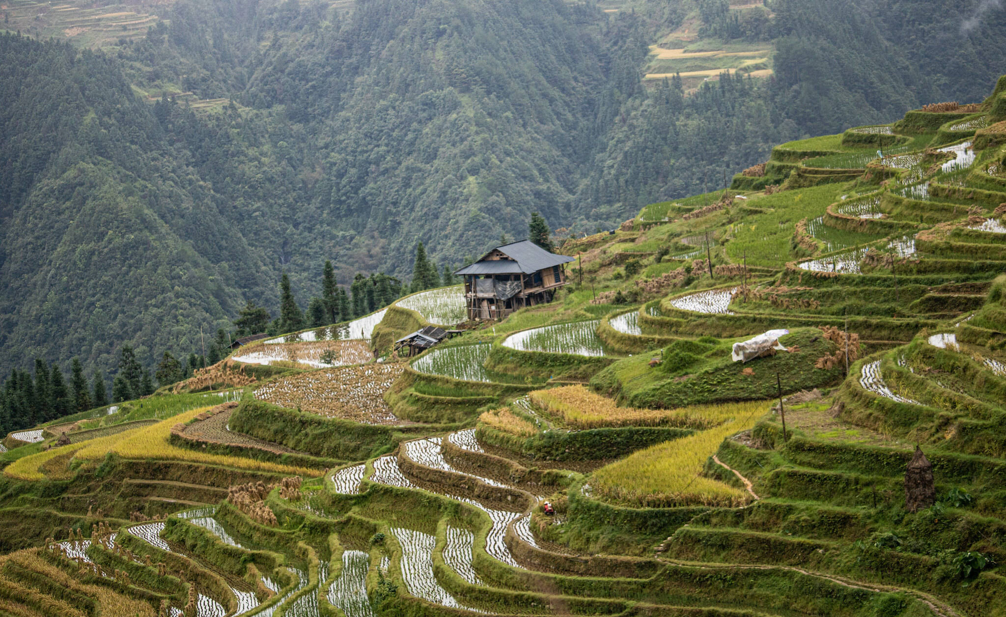 被偏爱的一个省份 出门处处是风景 十月更是最佳季节 贵州