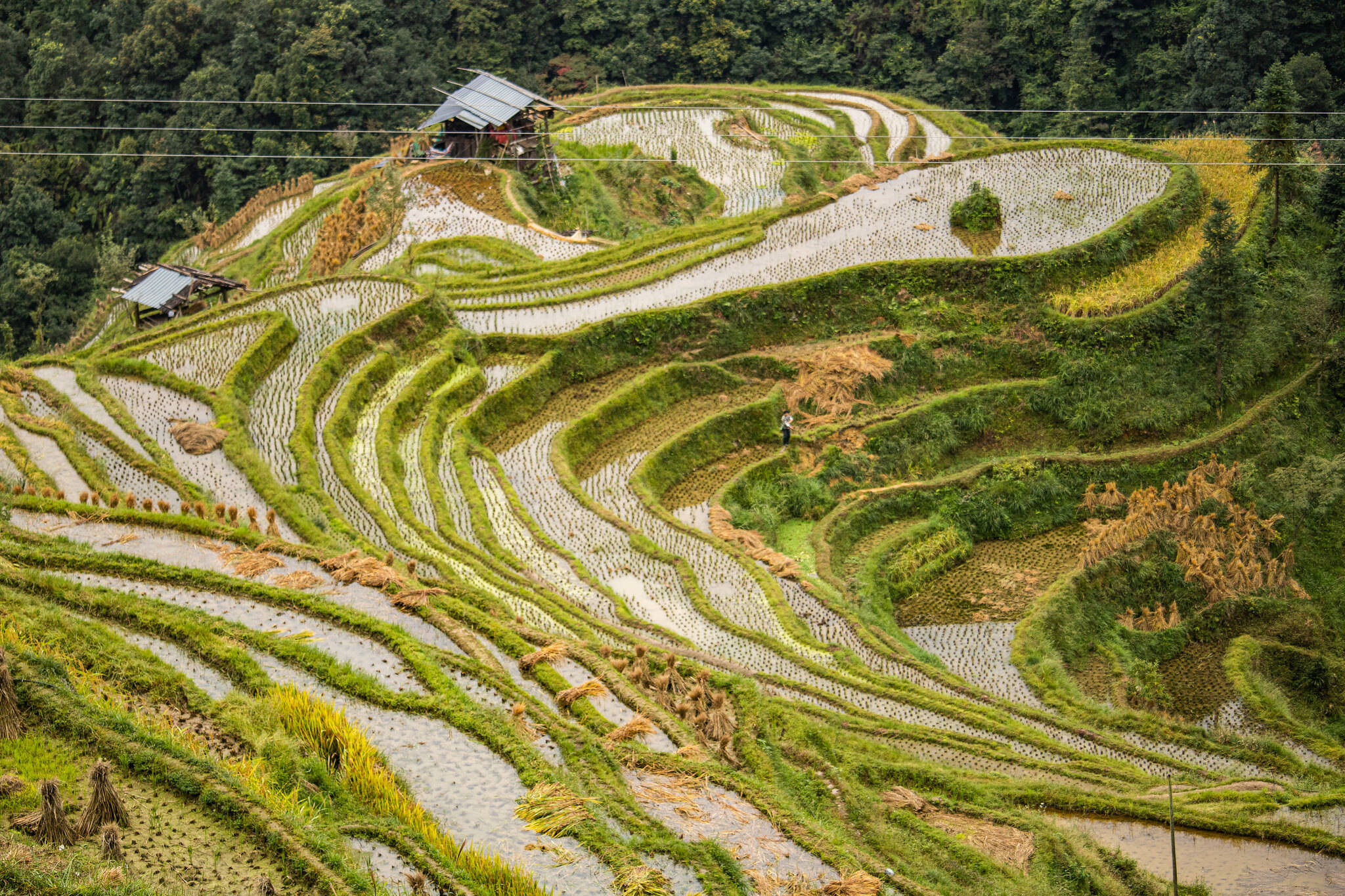 被偏爱的一个省份，出门处处是风景，十月更是最佳季节