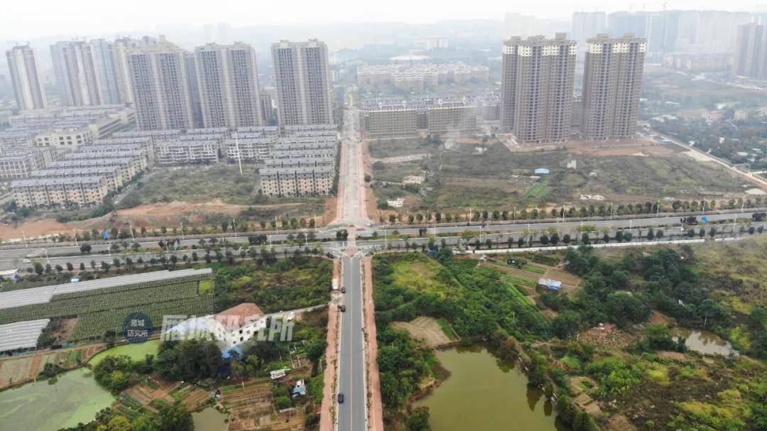 好消息酃湖新城又有几条道路即将拉通