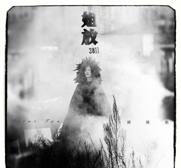 新歌|超级女声亚军，如今新歌无人问津！谭维维感慨：我承认我羡慕流量歌手