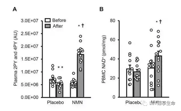 身体|糖尿病治疗前景可期：LLT NMN可增强胰岛素敏感