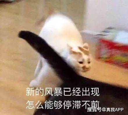ab0d3e11444d488292a4157a044a26fb.jpeg