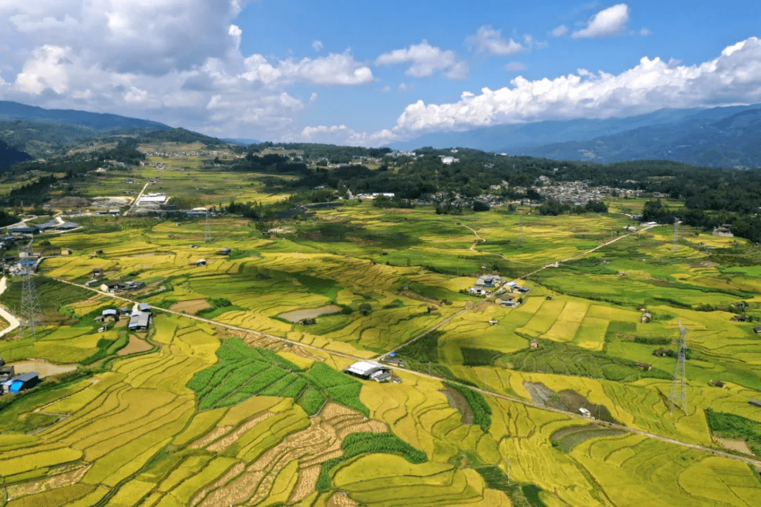 水面|美文分享丨腾冲龙川江峡谷：梯田如画稻谷香