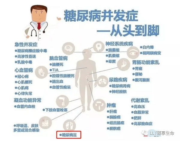 身体|糖尿病治疗前景可期：LLT NMN可增强胰岛素敏感