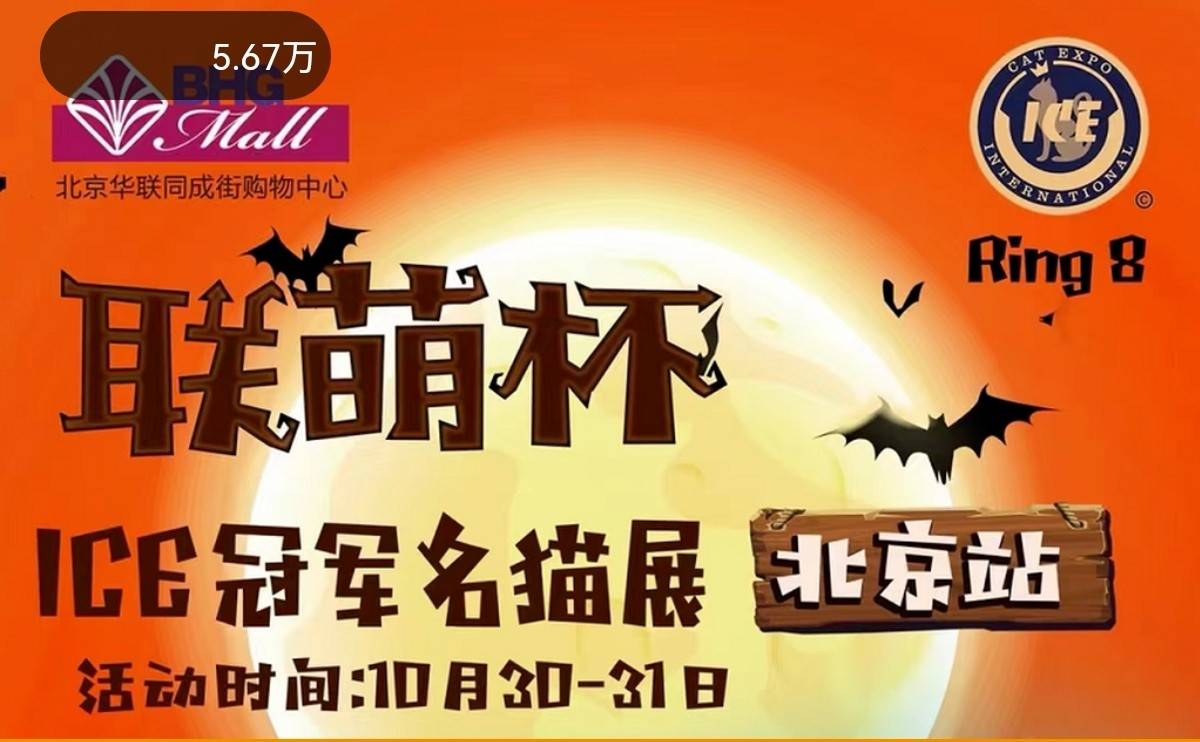 10月30-31日联萌杯ice(国际爱猫博览会)冠军名猫展,即将再次登陆北京