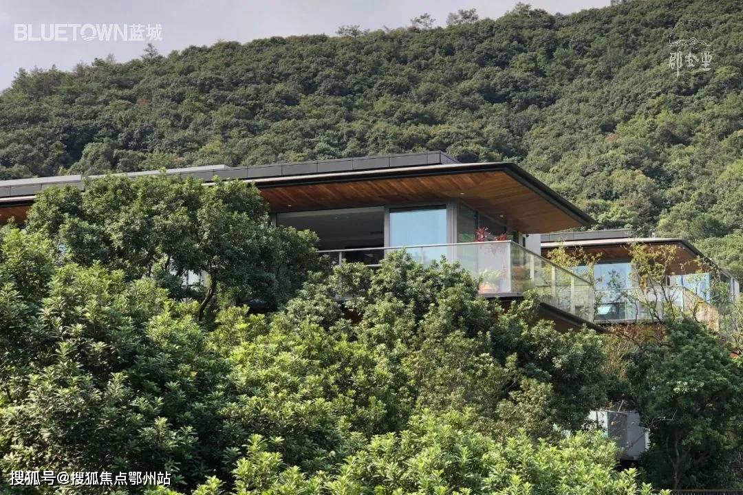 官方蓝城郡安里丨莫干山郡安里欢迎你丨官方网站蓝城郡安里楼盘详情